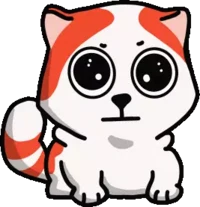 marseystare